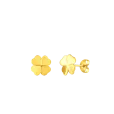 Kolczyki Fouria Gold