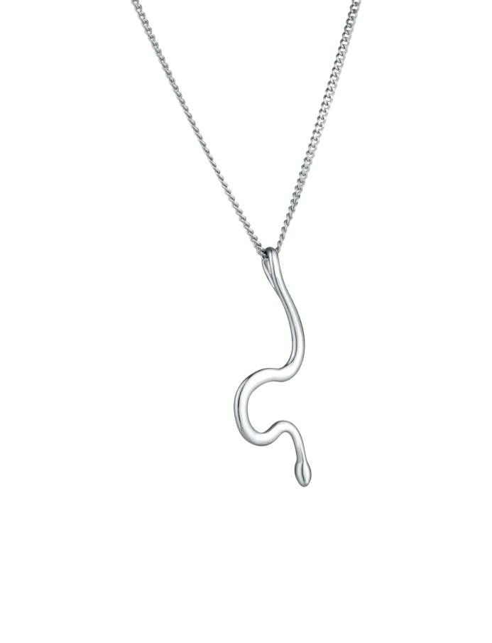 Naszyjnik Vireya Silver