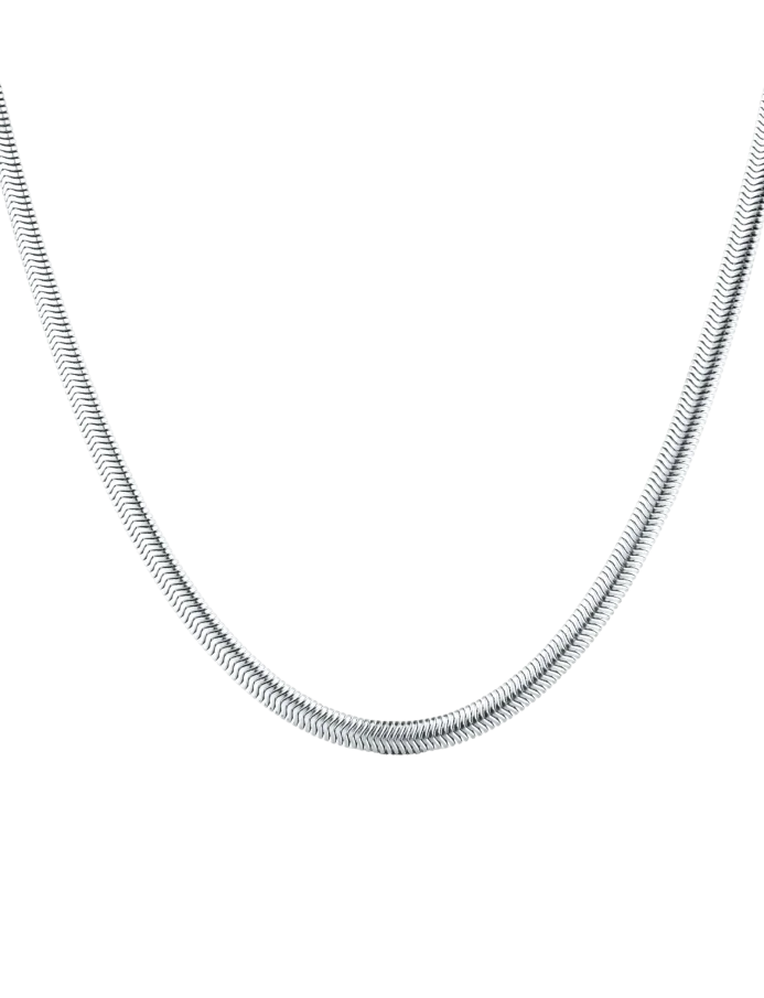 Naszyjnik Evoa Silver