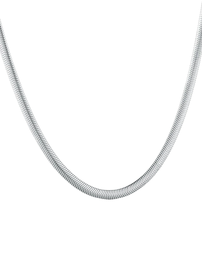 Naszyjnik Evoa Silver