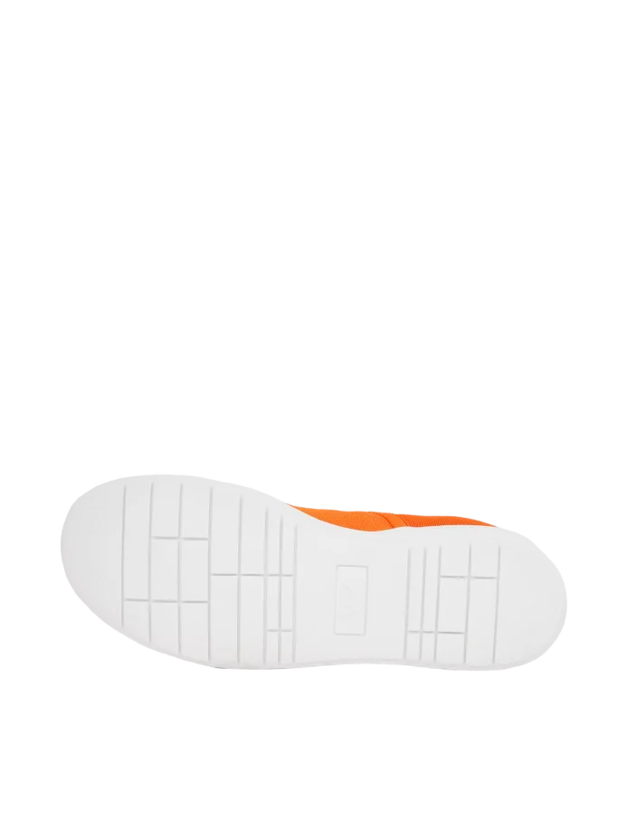 Seraphyn Nectarine