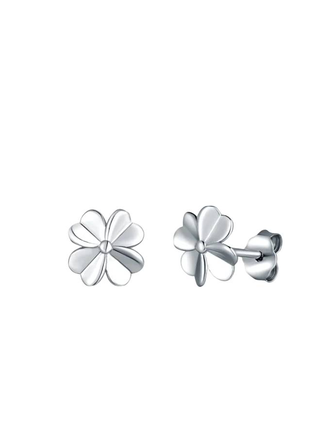 Kolczyki Amuse Silver