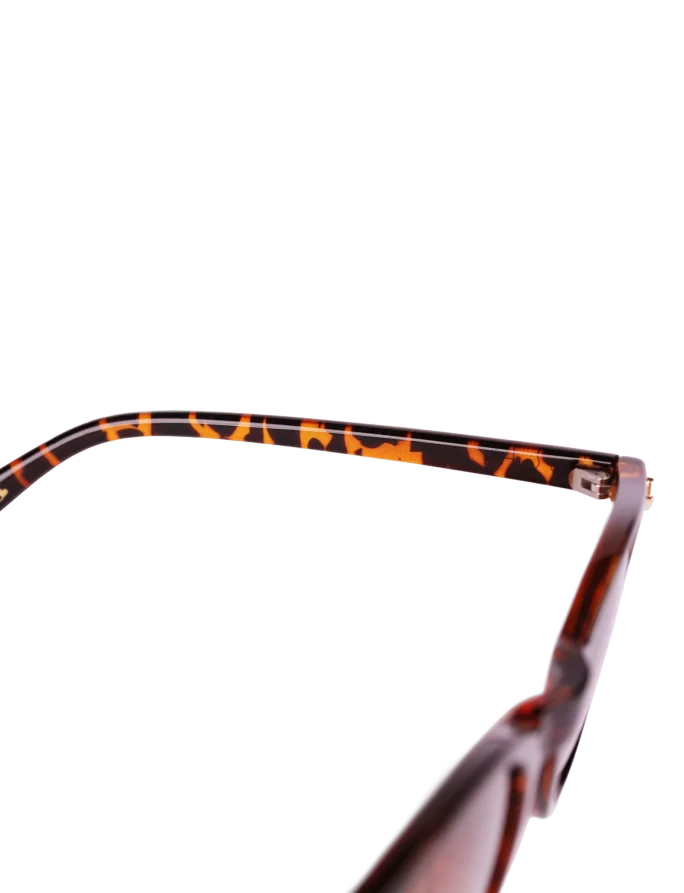 Carny Design Brown
