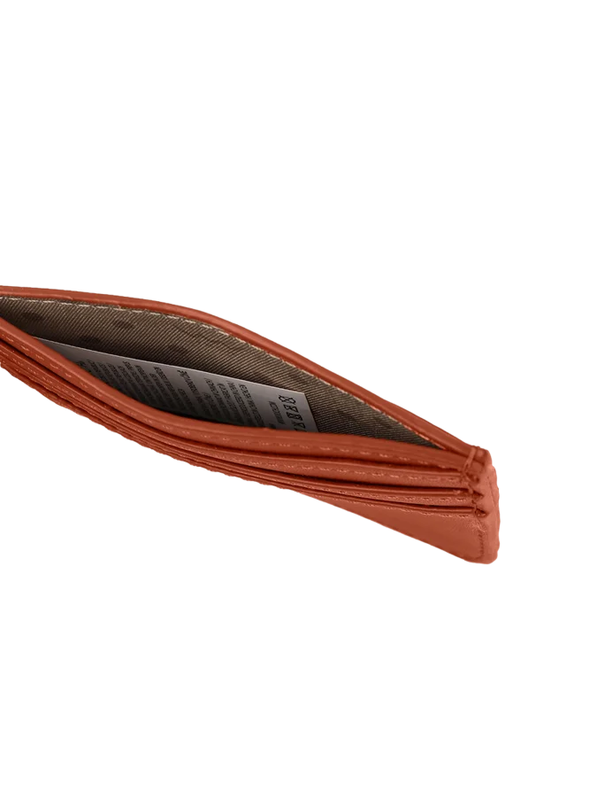 Crypta Brown