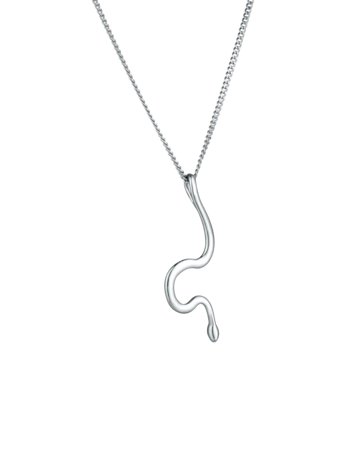 Naszyjnik Vireya Silver