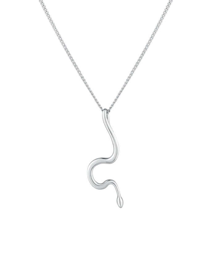Naszyjnik Vireya Silver