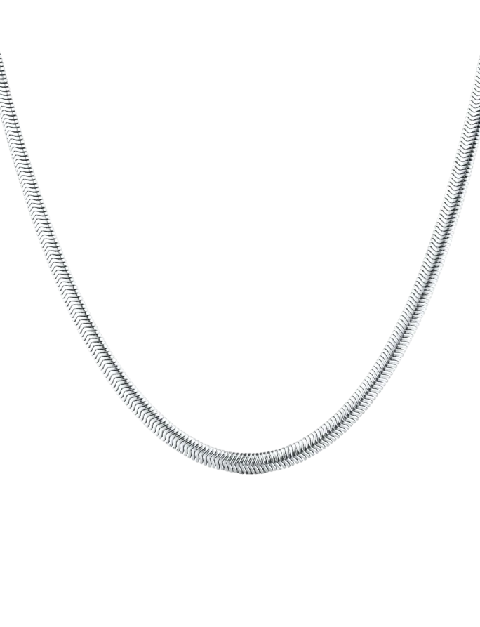 Naszyjnik Evoa Silver