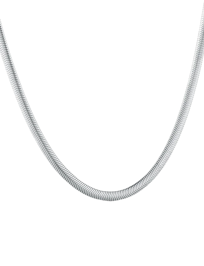 Naszyjnik Evoa Silver