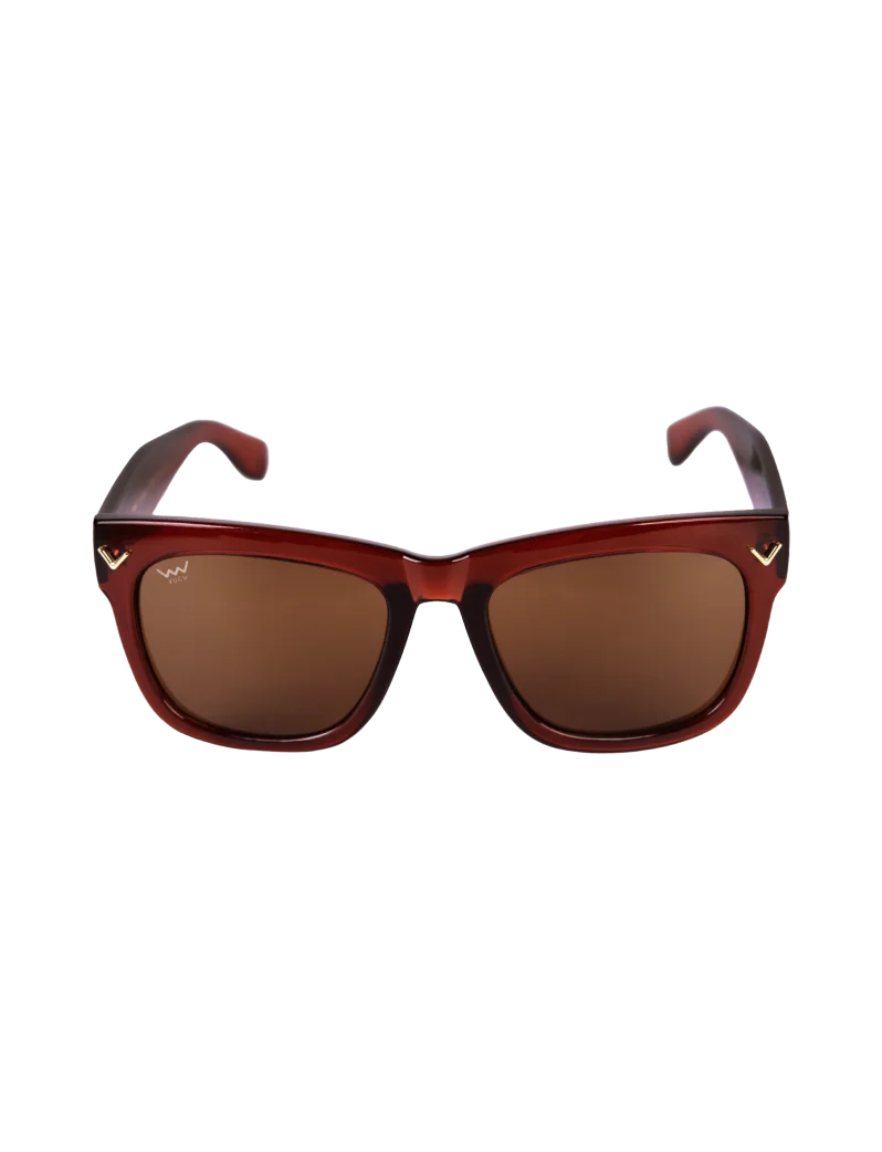 Sollary MN Brown