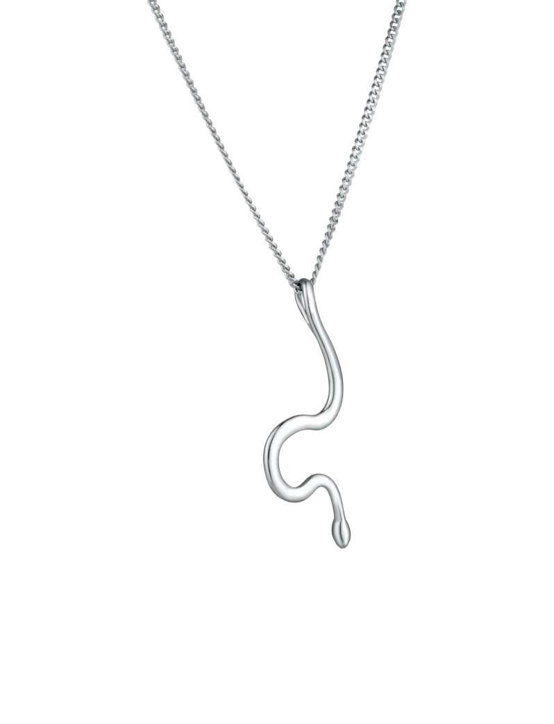 Naszyjnik Vireya Silver