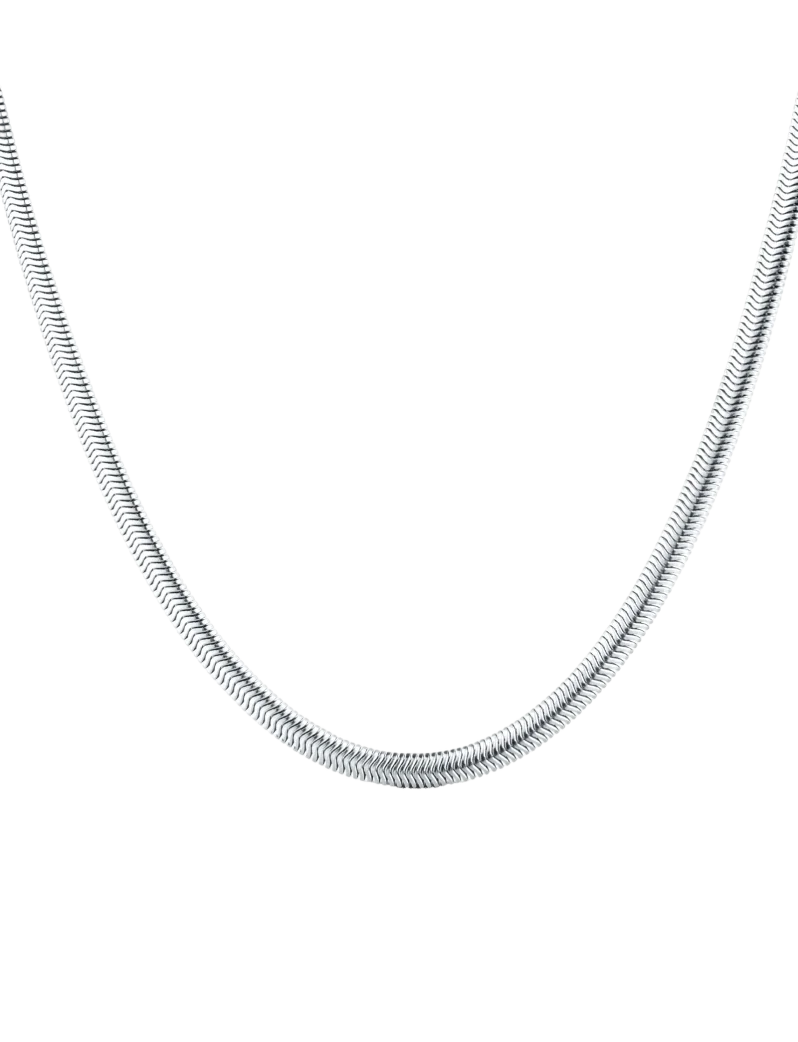Naszyjnik Evoa Silver