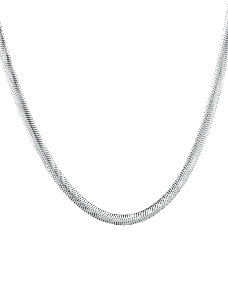 Naszyjnik Evoa Silver