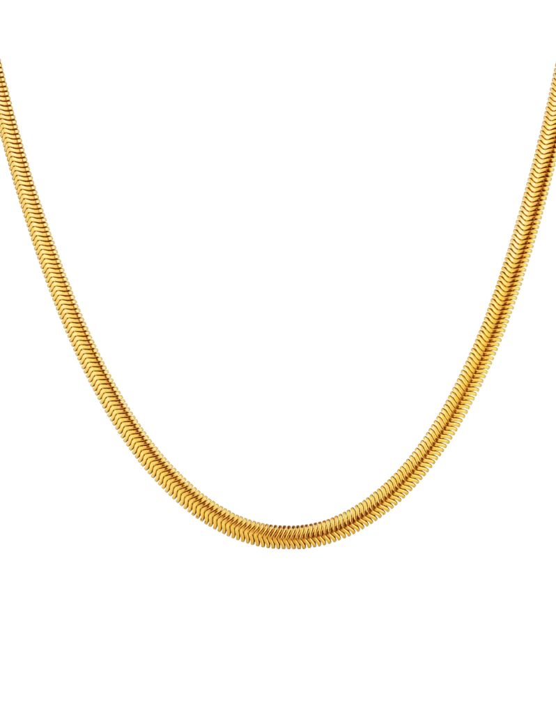 Naszyjnik Evoa Gold