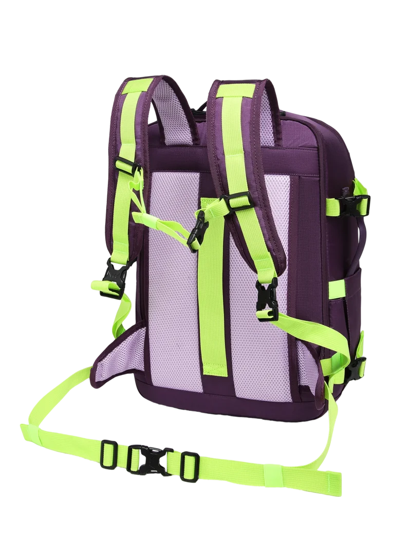 Treviq Purple