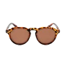Mitzi V Design Brown