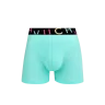 Caspian Green
