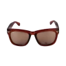 Sollary MN Brown