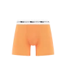 Ragaz Orange