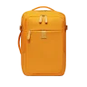 Foppe Mustard