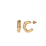 Kolczyki Lyrae Gold